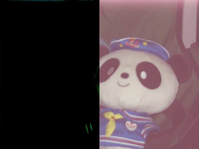 Closeup of stuffed panda. Image is over-exposed and warm, and the left half of the photo is extremely corrupted.